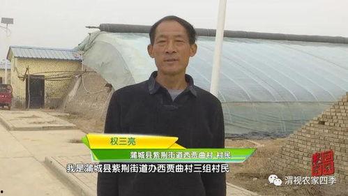 蒲城县的吃瓜群众,见证家乡变迁的民间视角