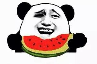 正确的吃瓜群众姿势视频,视频教你轻松成为瓜界达人