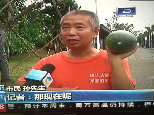 泊头吃瓜群众事件最新,揭秘网络舆论背后的真相与反思