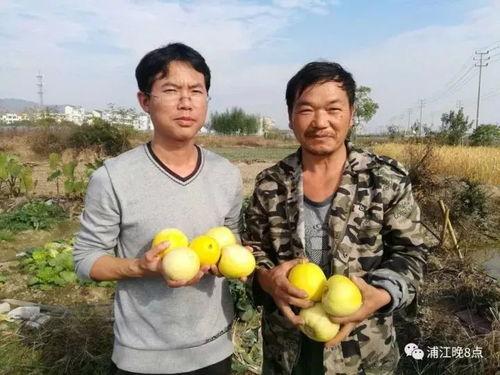 吃瓜群众宜兴,吃瓜群众眼中的美食天堂