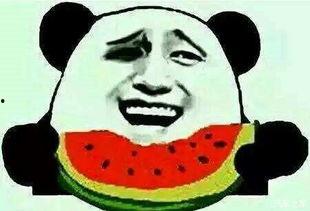 吃瓜群众小窝瓜,揭秘娱乐圈那些事儿