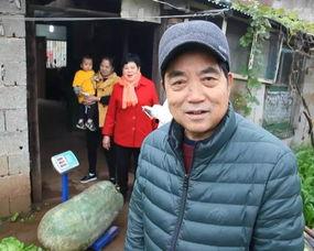 吃瓜群众冬瓜怎么拍,吃瓜群众如何轻松上手